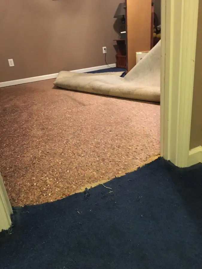 Carpet pad removal revealing water damage during Water Mitigation Services in Ridgefield